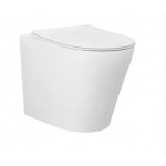 Alzano Rimless Wall Face Toilet Pan Only